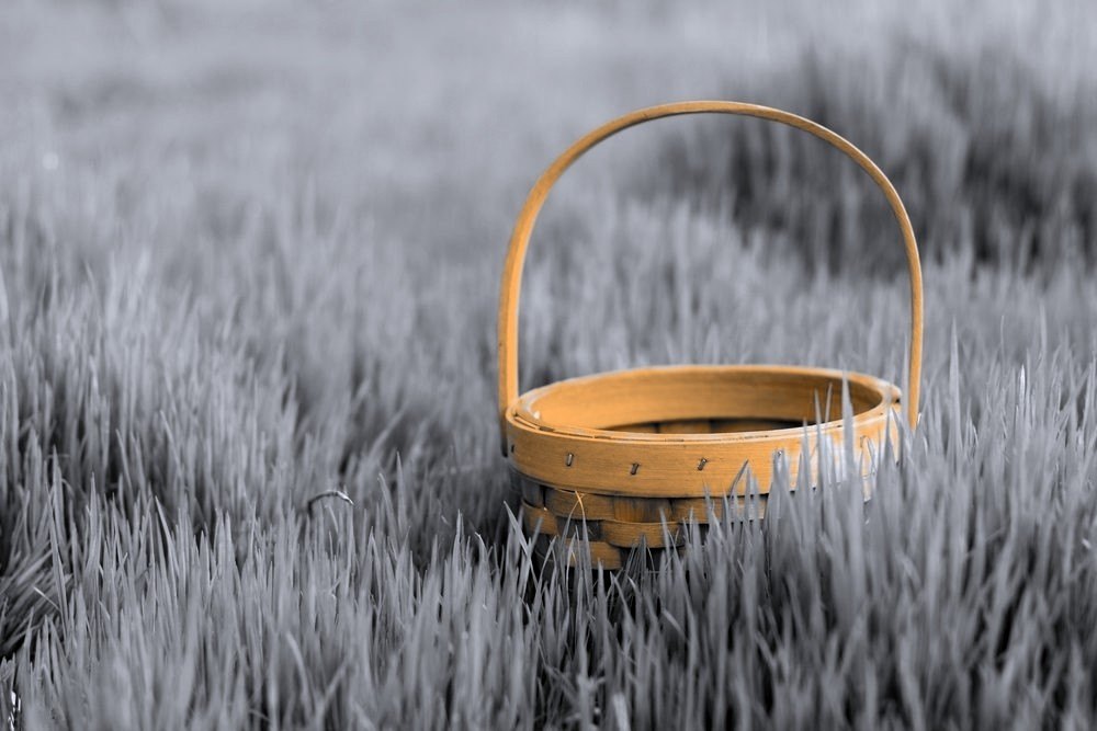 Illustration for the poem Your Basket